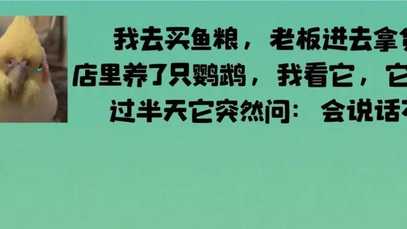 四川米面制品加盟：探寻品牌背后的品质密码**
